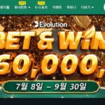 벳위즈 도메인