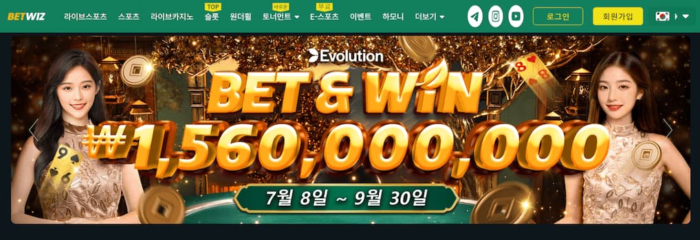 벳위즈 도메인